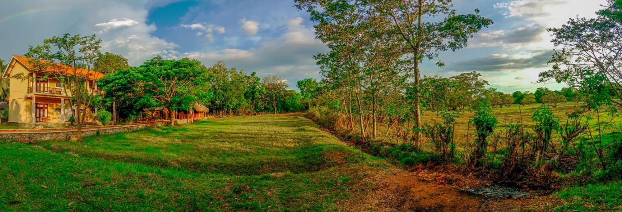 Sigiri Lanka Resort Sigirîya Extérieur photo