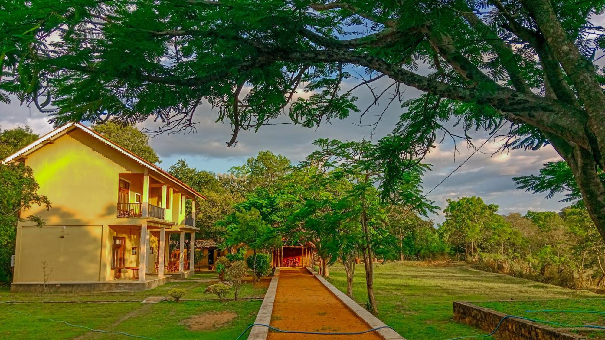 Sigiri Lanka Resort Sigirîya Extérieur photo
